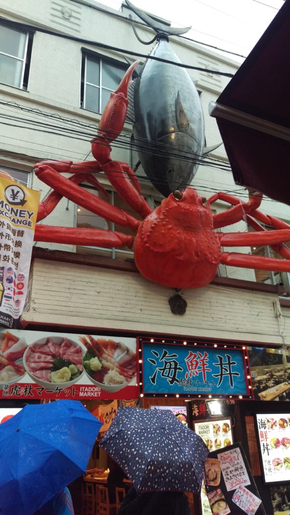 Tokyo - Tsukiji market (Mercato del pesce) - 11