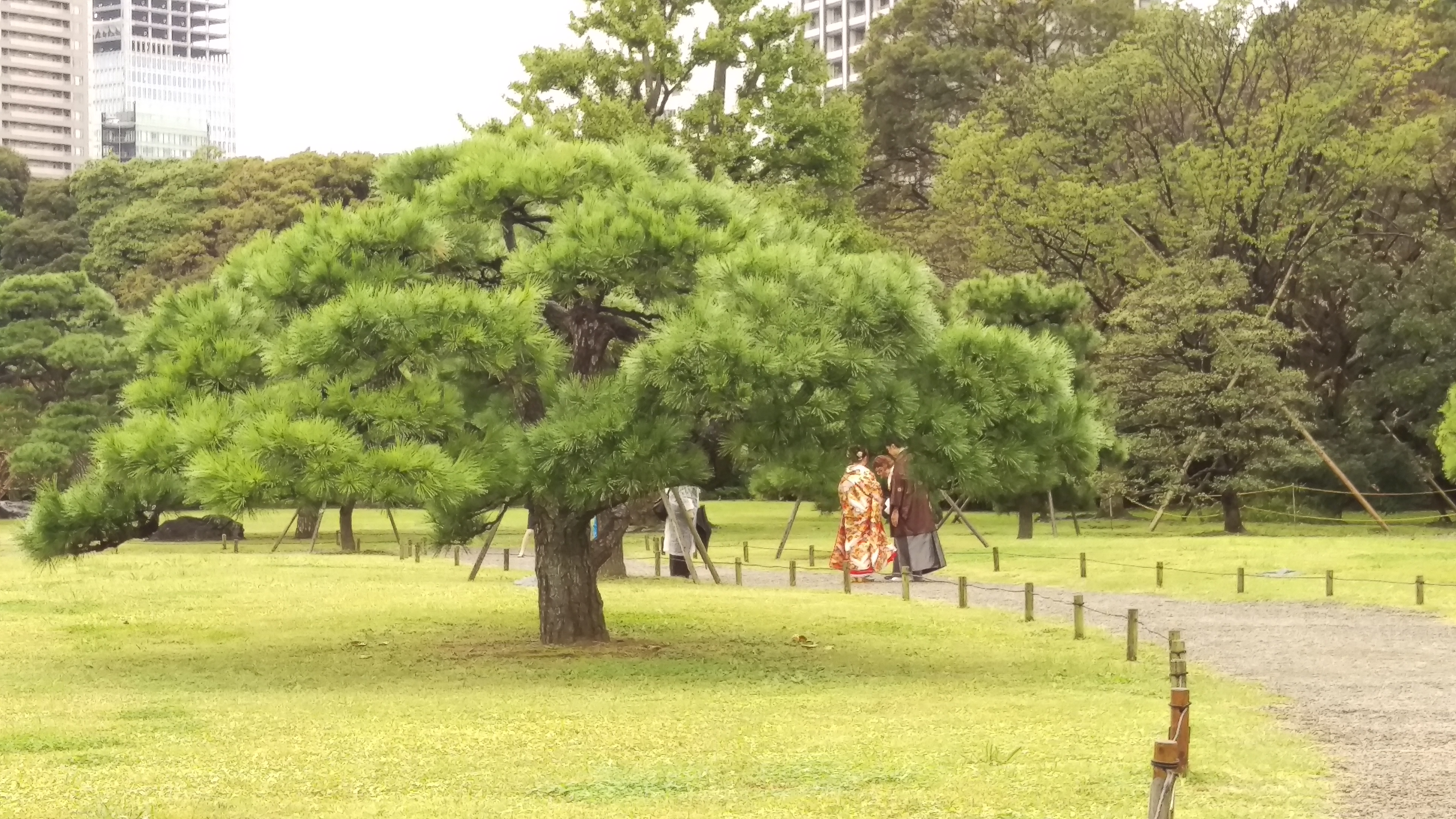 Tokyo - Giardini di Hama-rikyu - 4