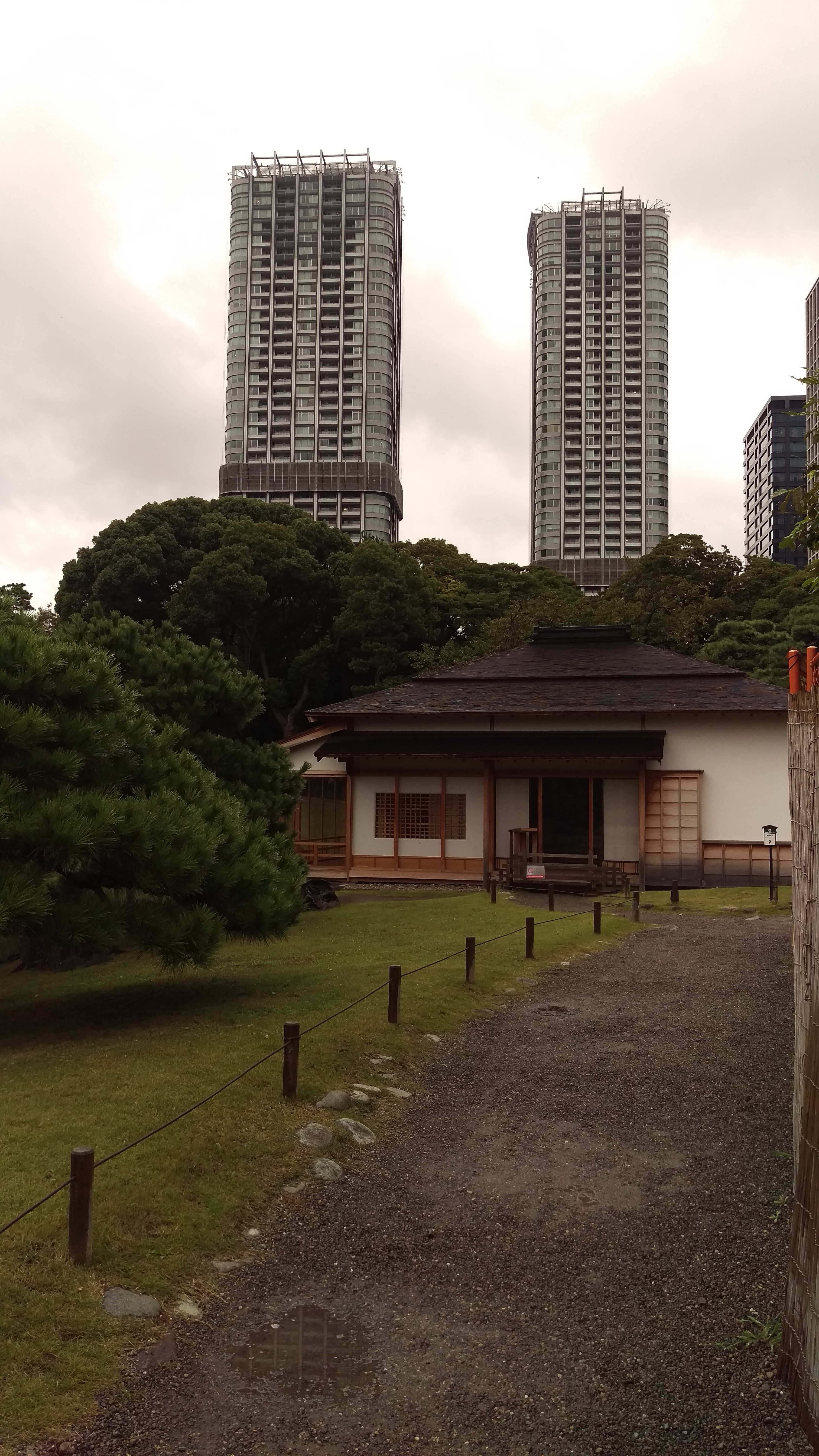 Tokyo - Giardini di Hama-rikyu - 9