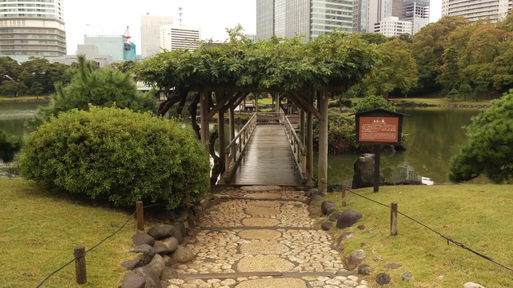 Tokyo - Giardini di Hama-rikyu - 10