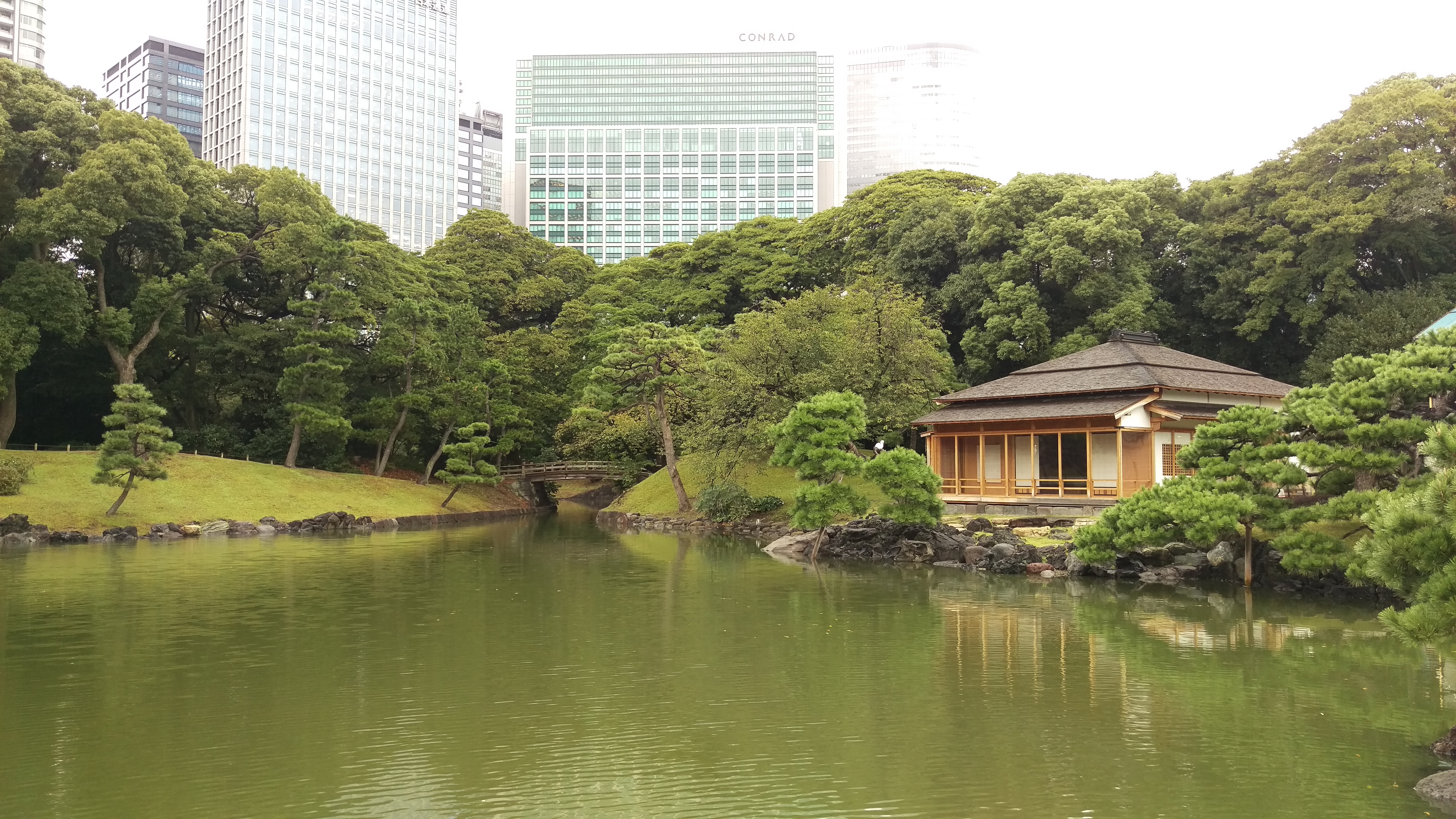 Tokyo - Giardini di Hama-rikyu - 15