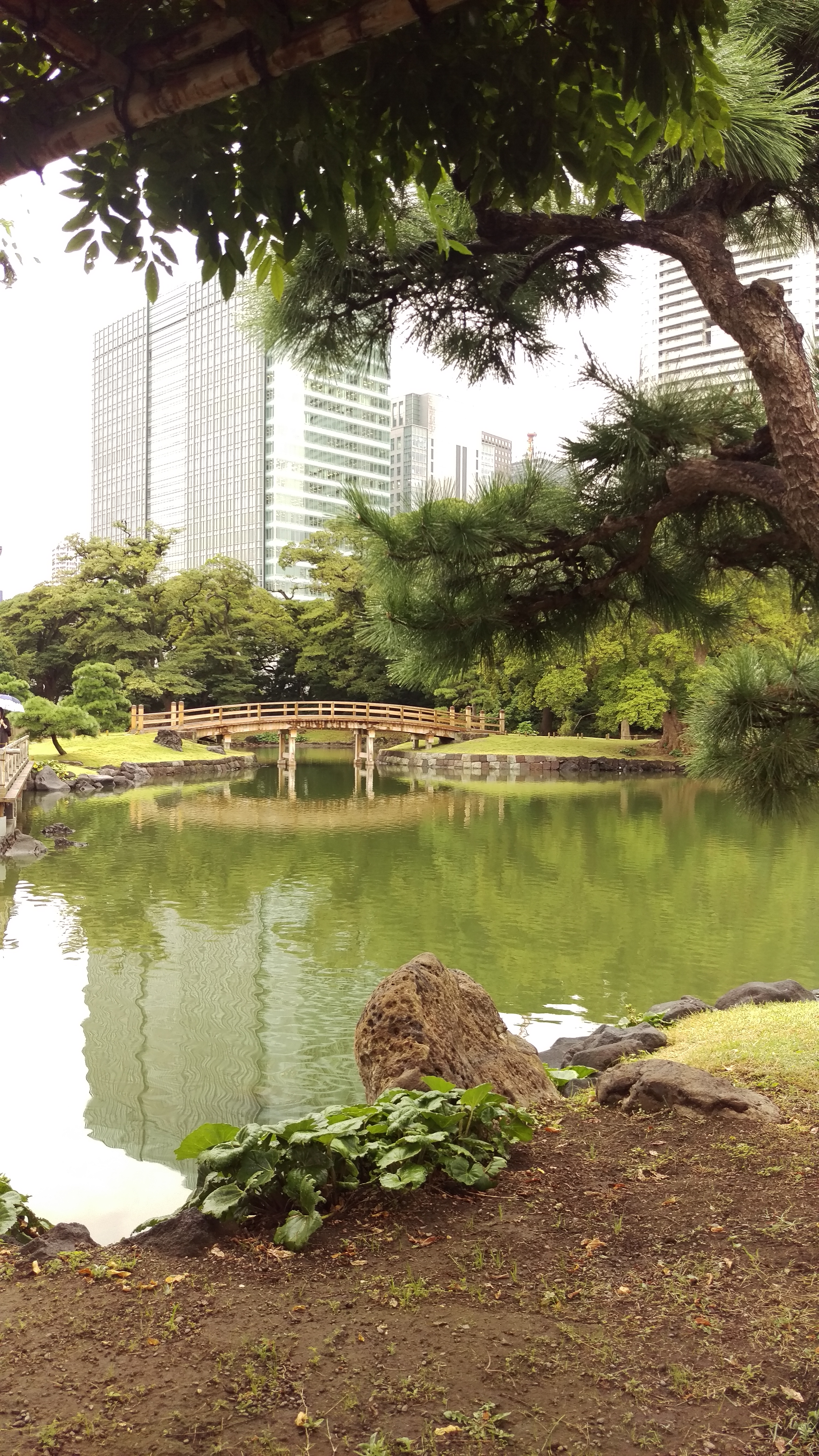 Tokyo - Giardini di Hama-rikyu - 17
