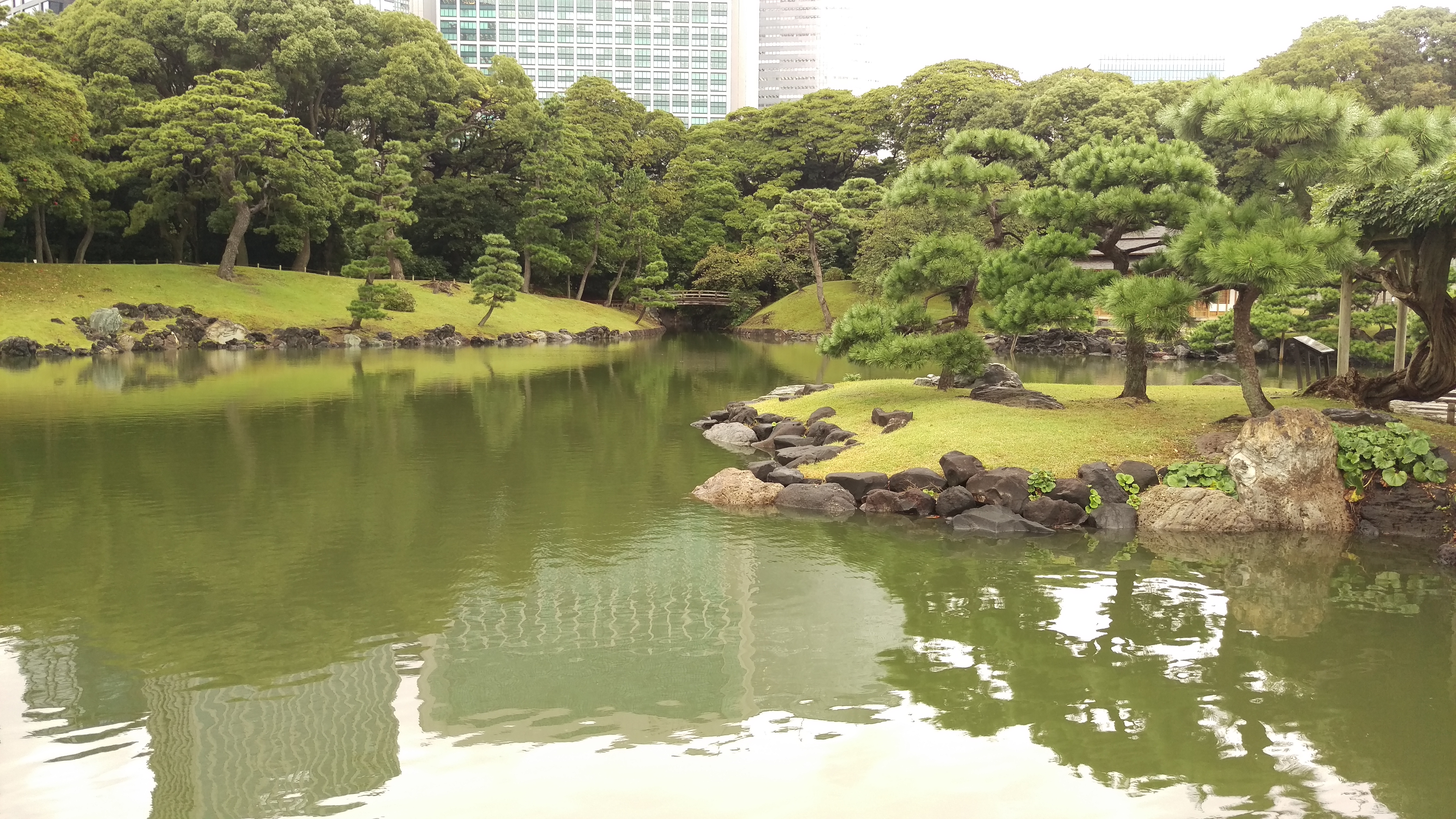 Tokyo - Giardini di Hama-rikyu - 19