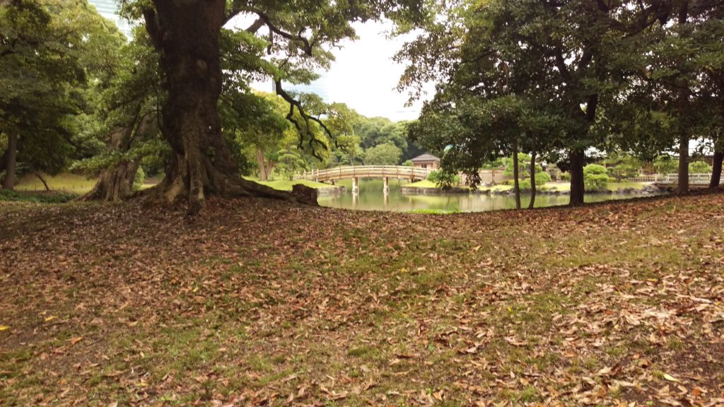 Tokyo - Giardini di Hama-rikyu - 23