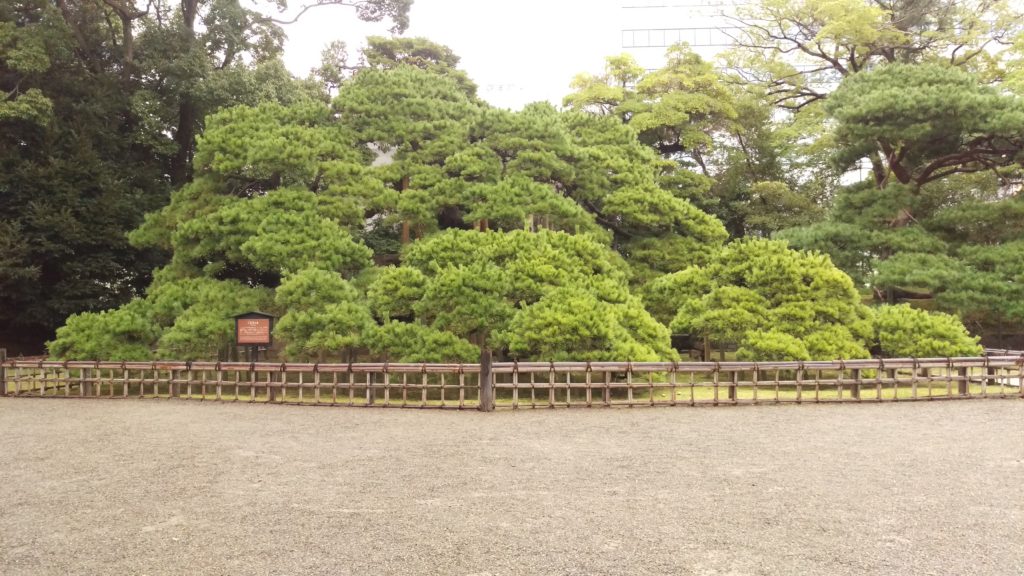 Tokyo - Giardini di Hama-rikyu - 32