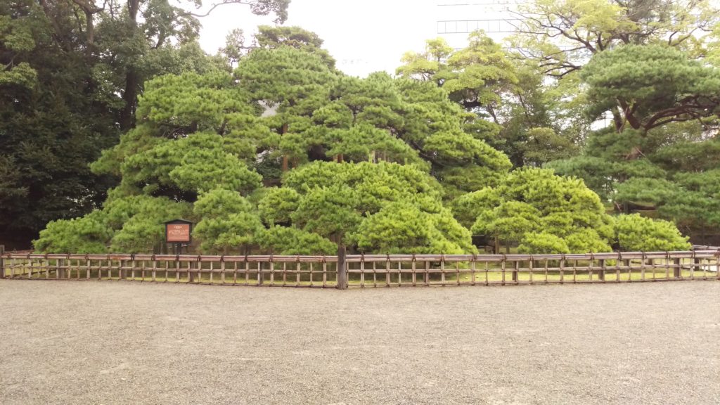 Tokyo - Giardini di Hama-rikyu - 32