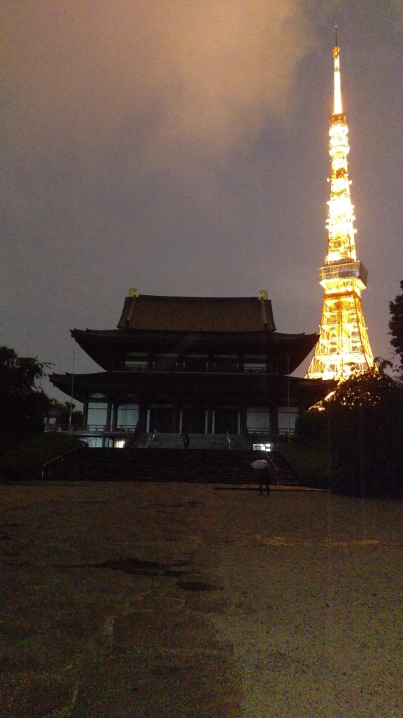 Hanazono-jinja by night e Tokyo tower - 2